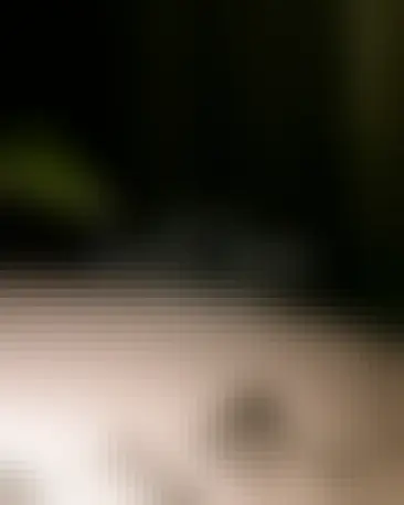 Smo na zimskem premoru do 14. februarja