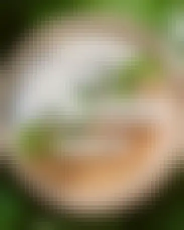 Hiša Franko se je že osmo leto zapored uvrstila na seznam 50 najboljših restavracij na svetu