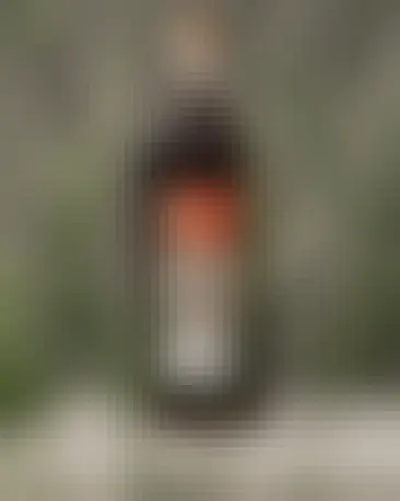 Ana Roš predstavlja svojo prvo linijo ustekleničenih koktajlov: Ana Roš Drinks