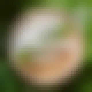 Hiša Franko se je že osmo leto zapored uvrstila na seznam 50 najboljših restavracij na svetu